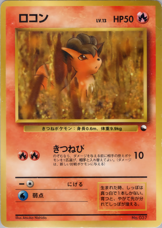 ロコン