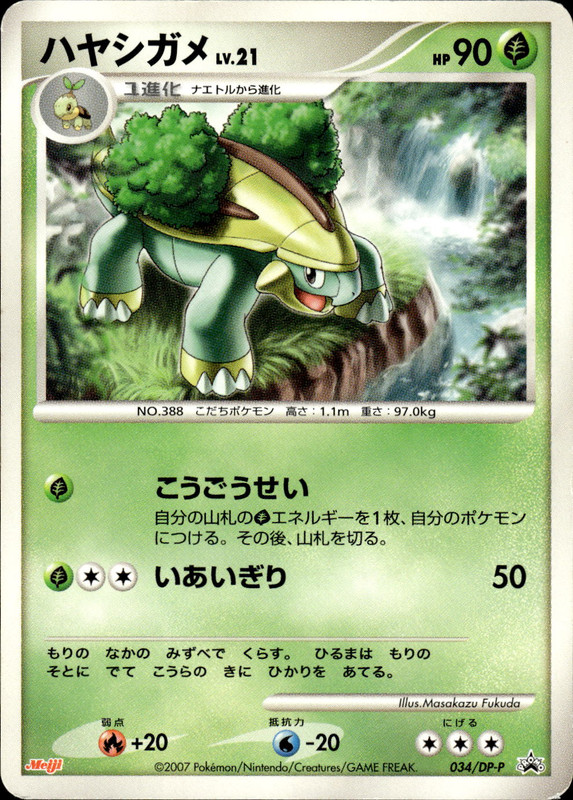 ハヤシガメ