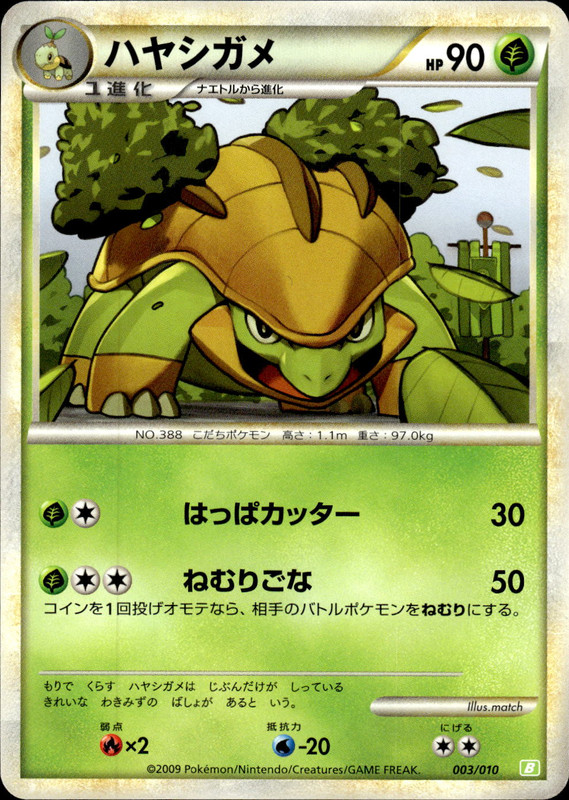 ハヤシガメ