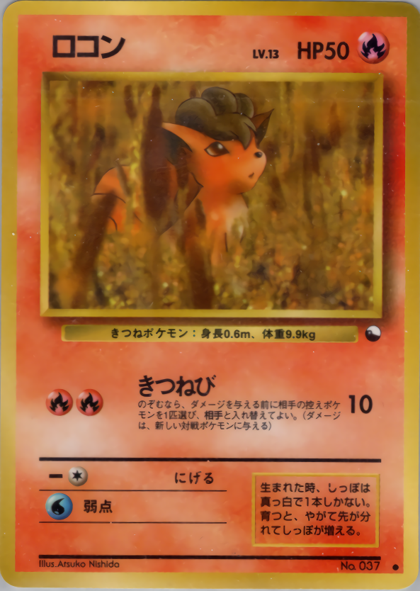 ロコン
