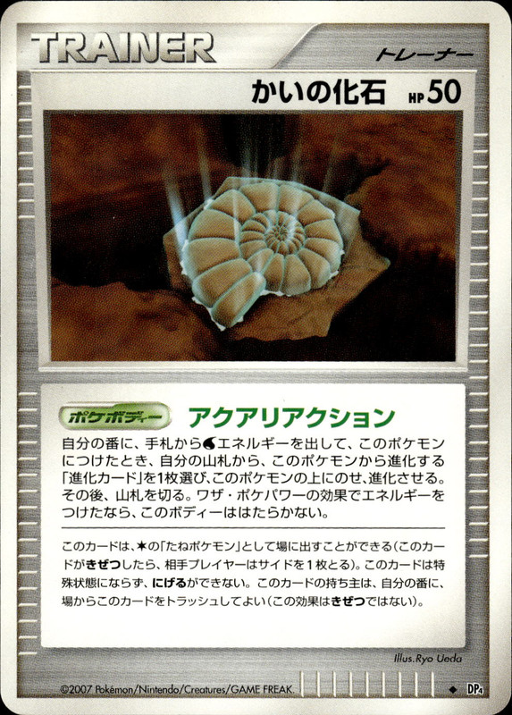 かいの化石 (アンリミ)