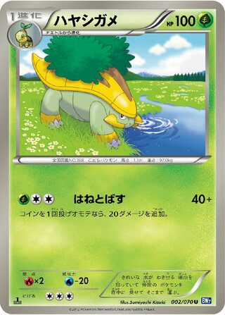 ハヤシガメ (1ED)