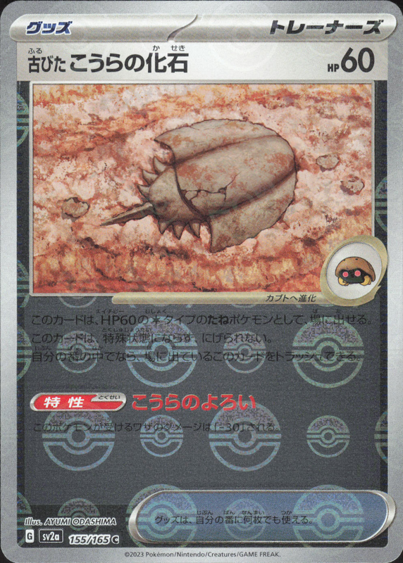 古びたこうらの化石 (ミラー)