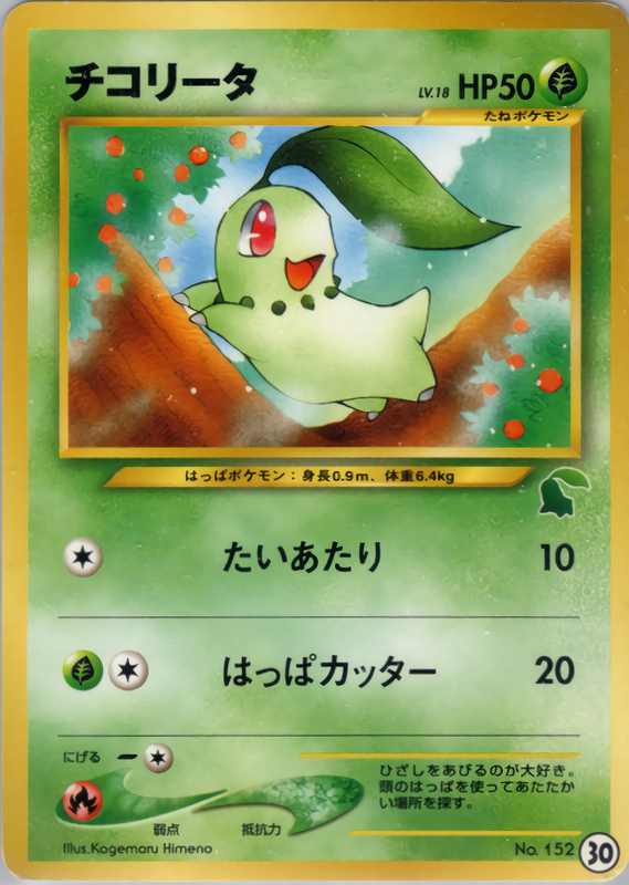 チコリータ