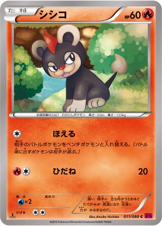 シシコ（1ED）