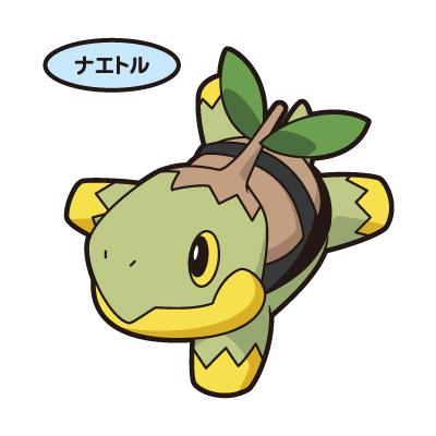 ナエトル