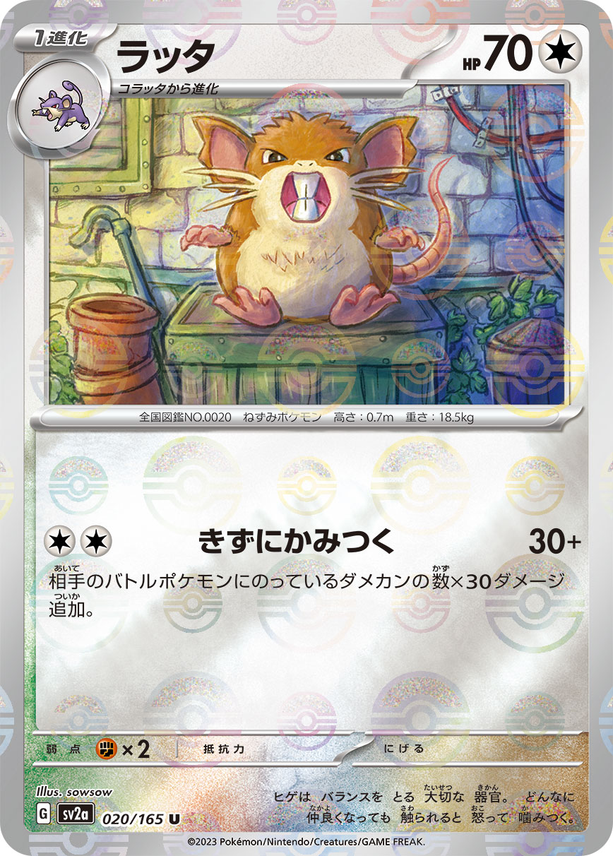 ラッタ (ミラー)