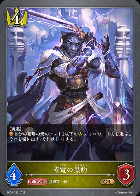 紫電の黒豹