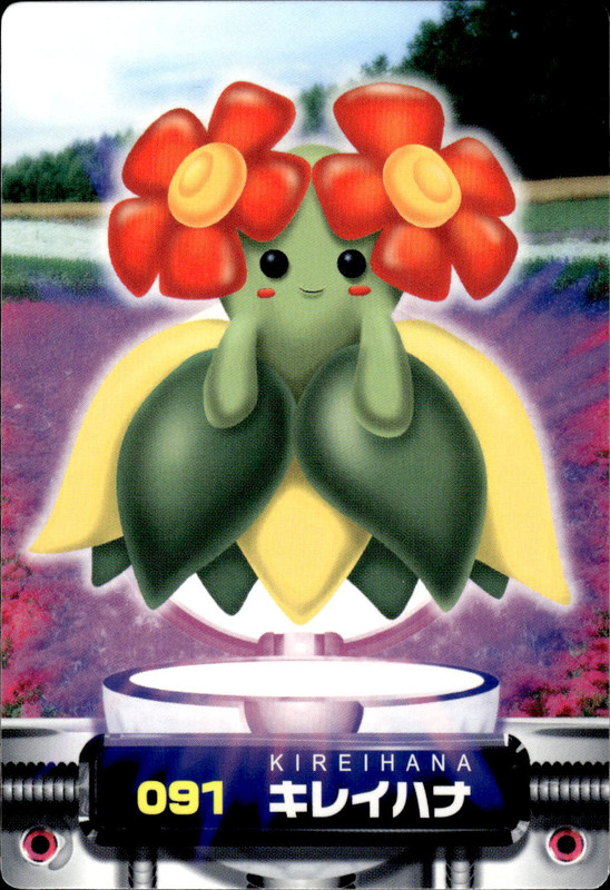 キレイハナ