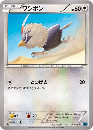 ワシボン（1ED）