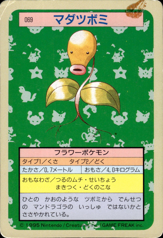 マダツボミ