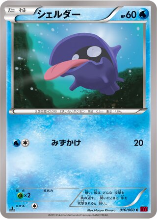 シェルダー(1ED)