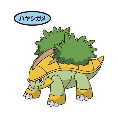 ハヤシガメ