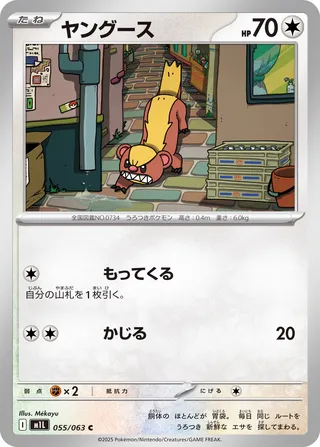 ヤングース