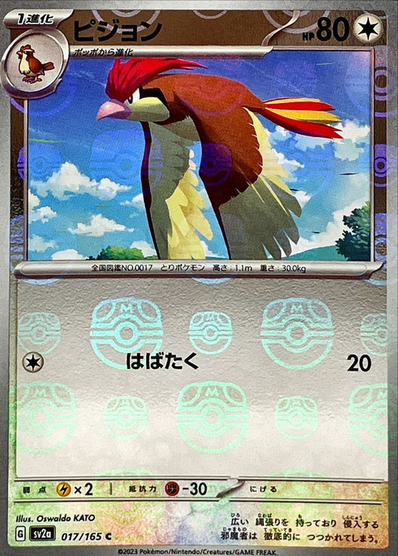 ピジョン (マスターボールミラー)
