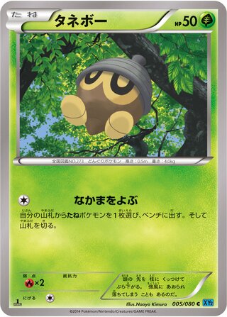 タネボー（1ED）