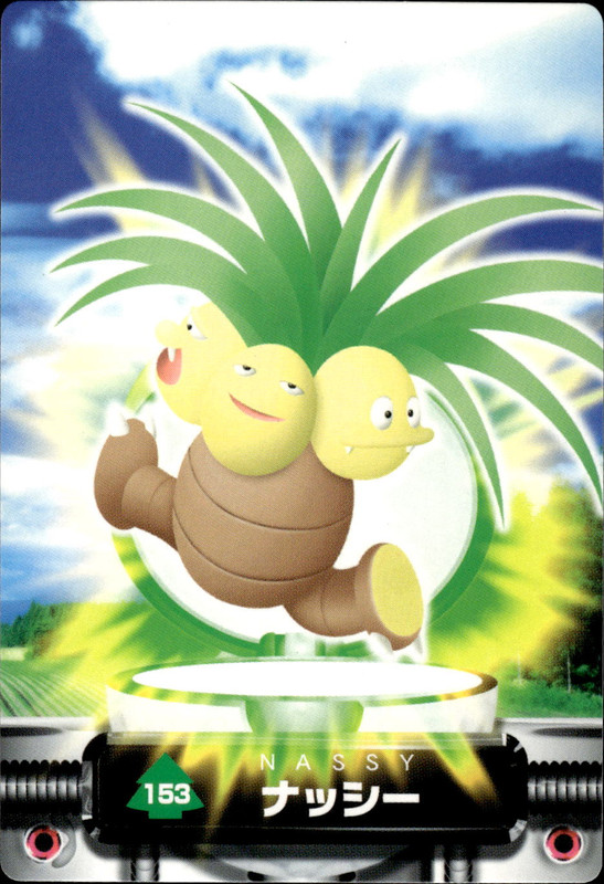 ナッシー