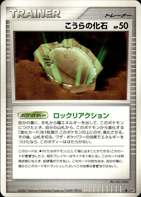 こうらの化石 (アンリミ)