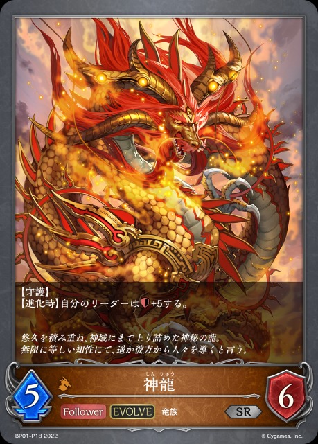 神龍(EVOLVE)