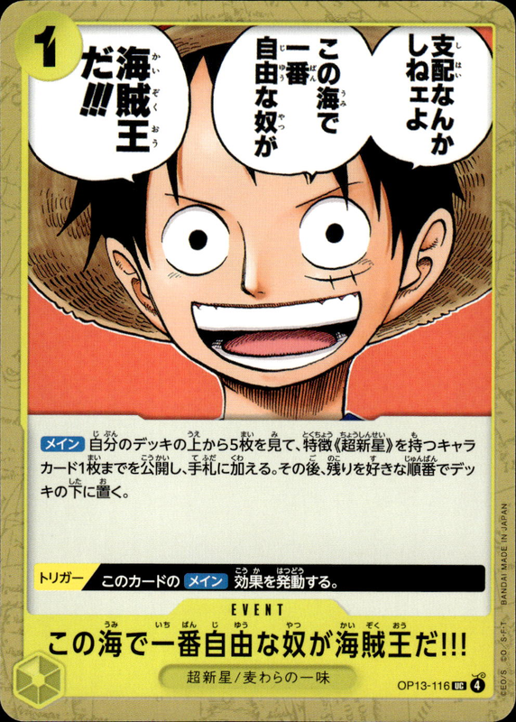 この海で一番自由な奴が海賊王だ!!!