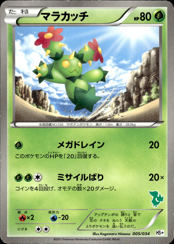 マラカッチ