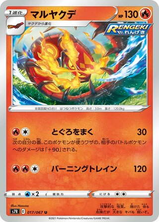 マルヤクデ
