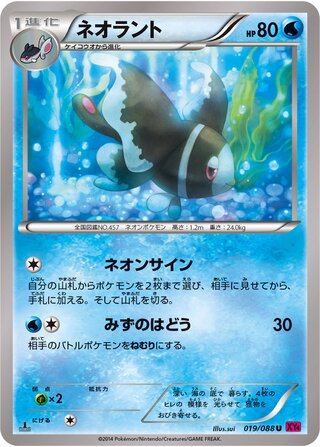 ネオラント（1ED）
