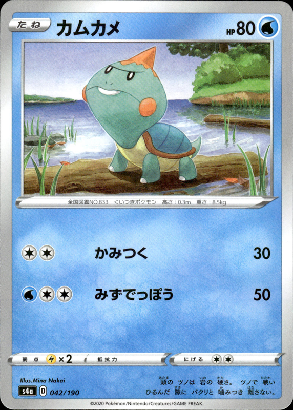 カムカメ (ミラー)