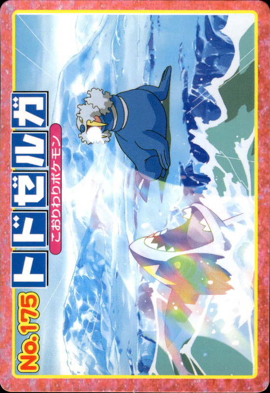 トドゼルガ (サメハダ)