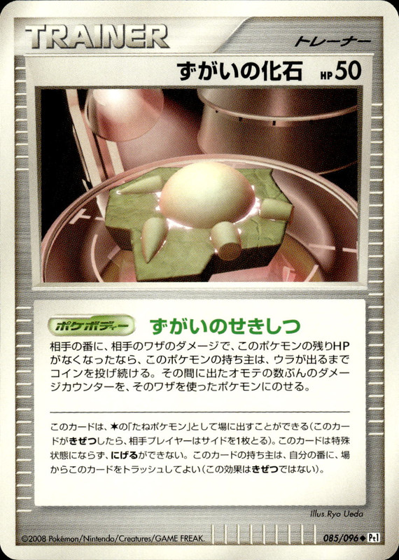 ずがいの化石 (アンリミ)