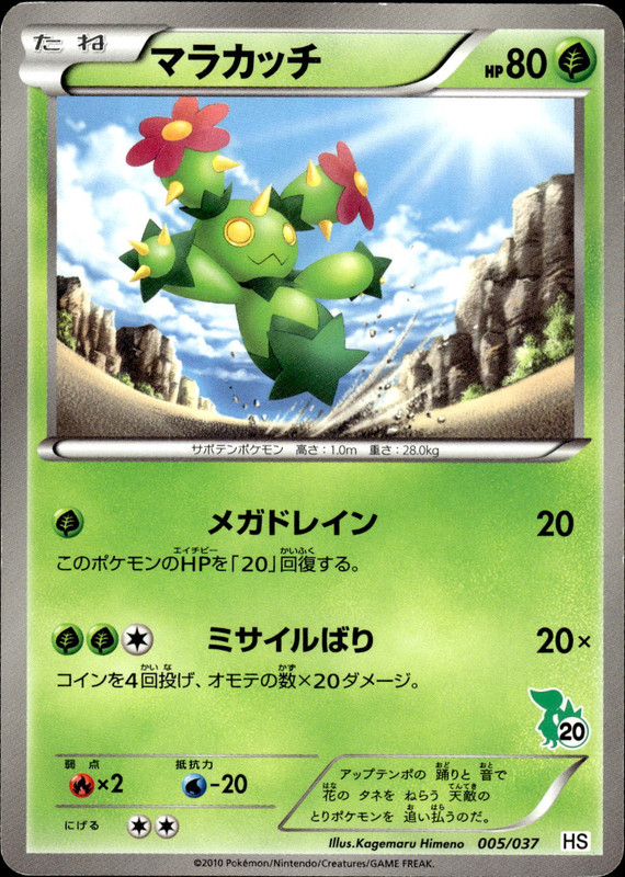 マラカッチ